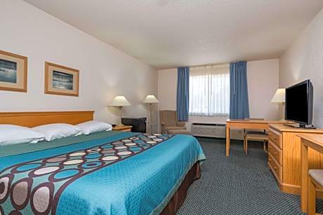 1 King Bed Non-Smoking