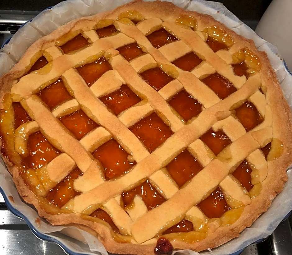 Hotel Saini with Air conditioning