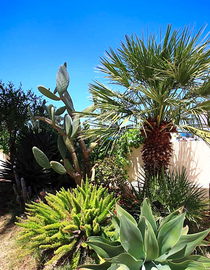 Eurohotel Katrin Suites