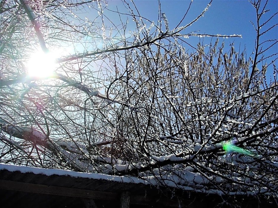 Chambre d’hôte - Ilse's Garden Chair