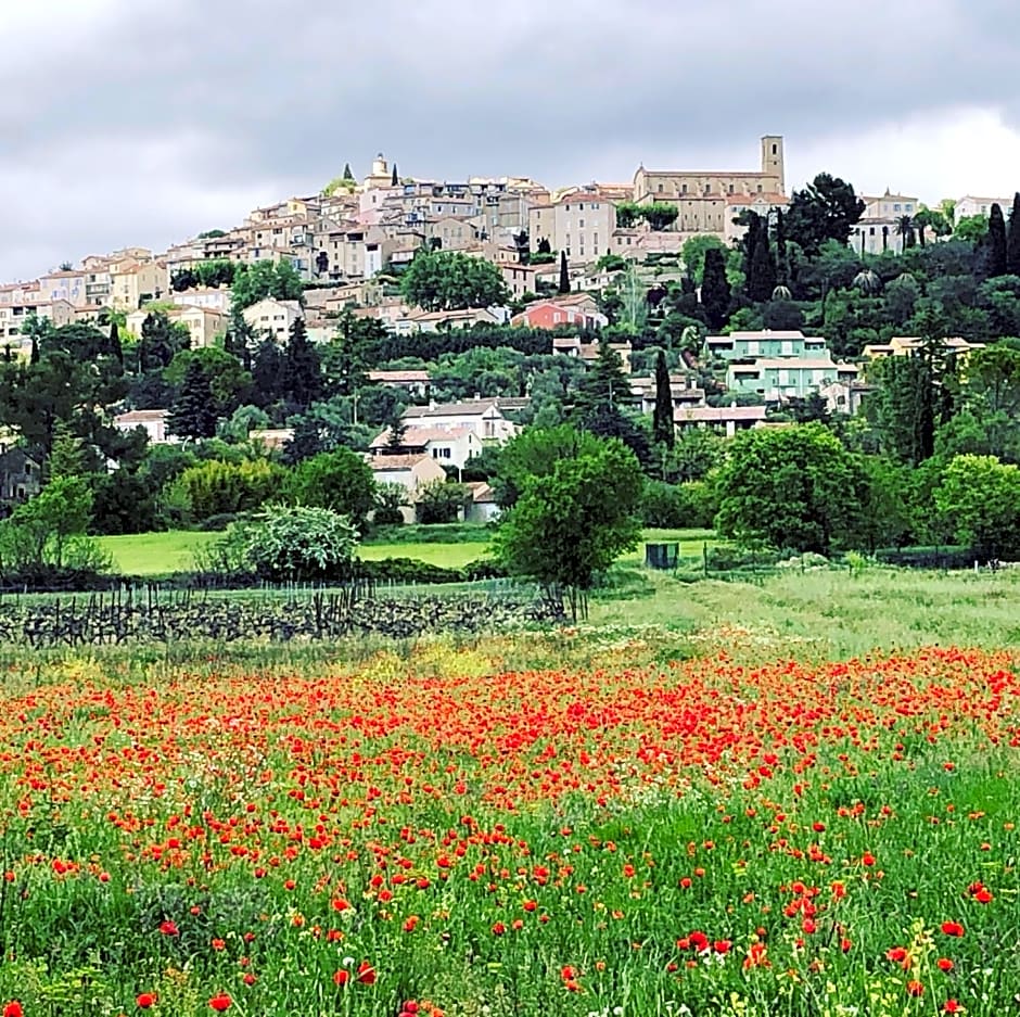 Mas Lou Piastoun – Fayence, ID