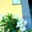La Casa del Melograno