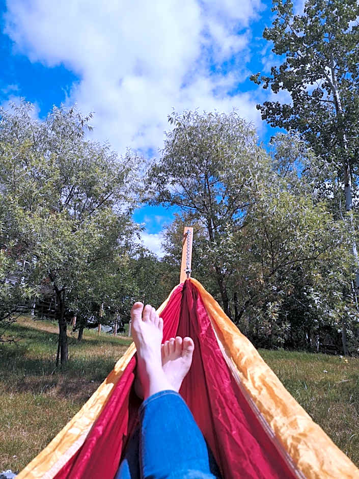 Au Cachalot Caché le gîte hôtel