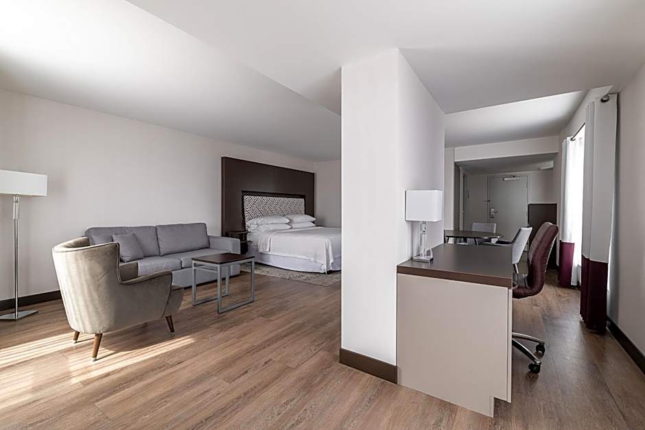 Photo 1 of 7 of Junior 1 Bedroom 1 King Bed with Sofabed Suite
