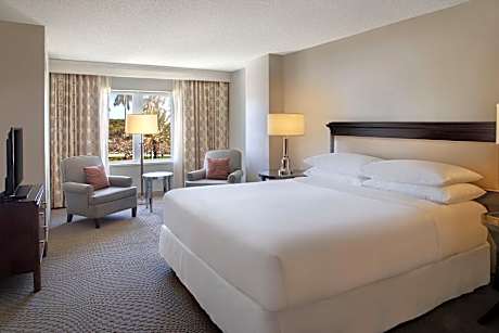 Suite, 1 Bedroom (1 King Bed and 1 Double Sofa Bed)