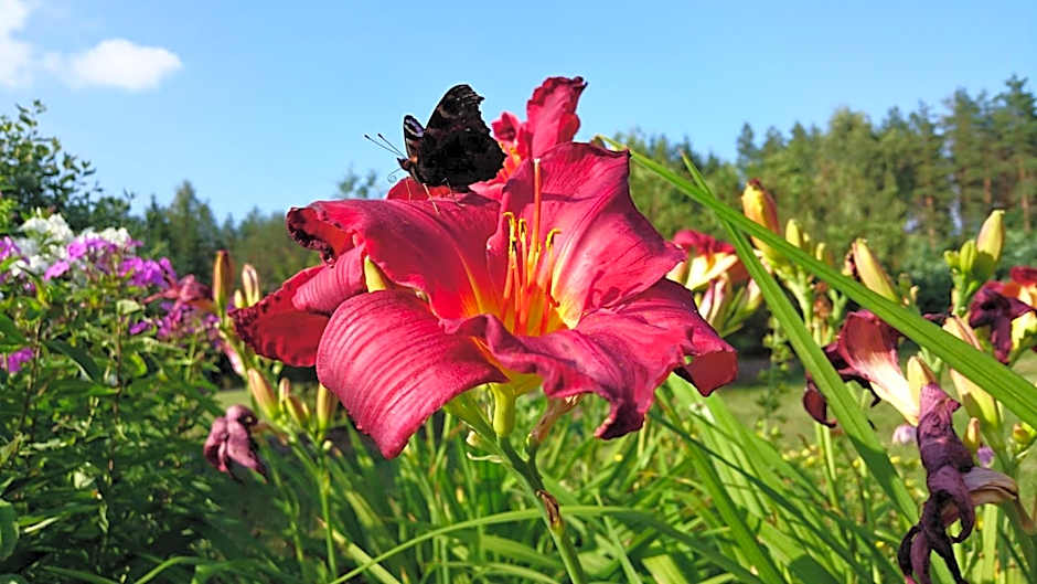 Kõrveküla Holiday Centre