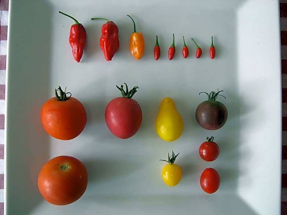 Locanda La Pieve B&B vicino Saturnia