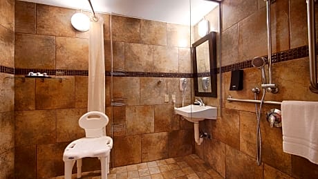 ACCESSIBLE - SUITE 2 QUEEN,NSMK,HANDRM,ROLLSH,SOFBD,FLATSC,MICRFG,FULL BREAKFAST