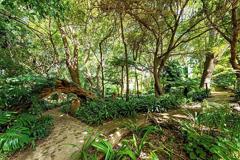 The Cellars-Hohenort