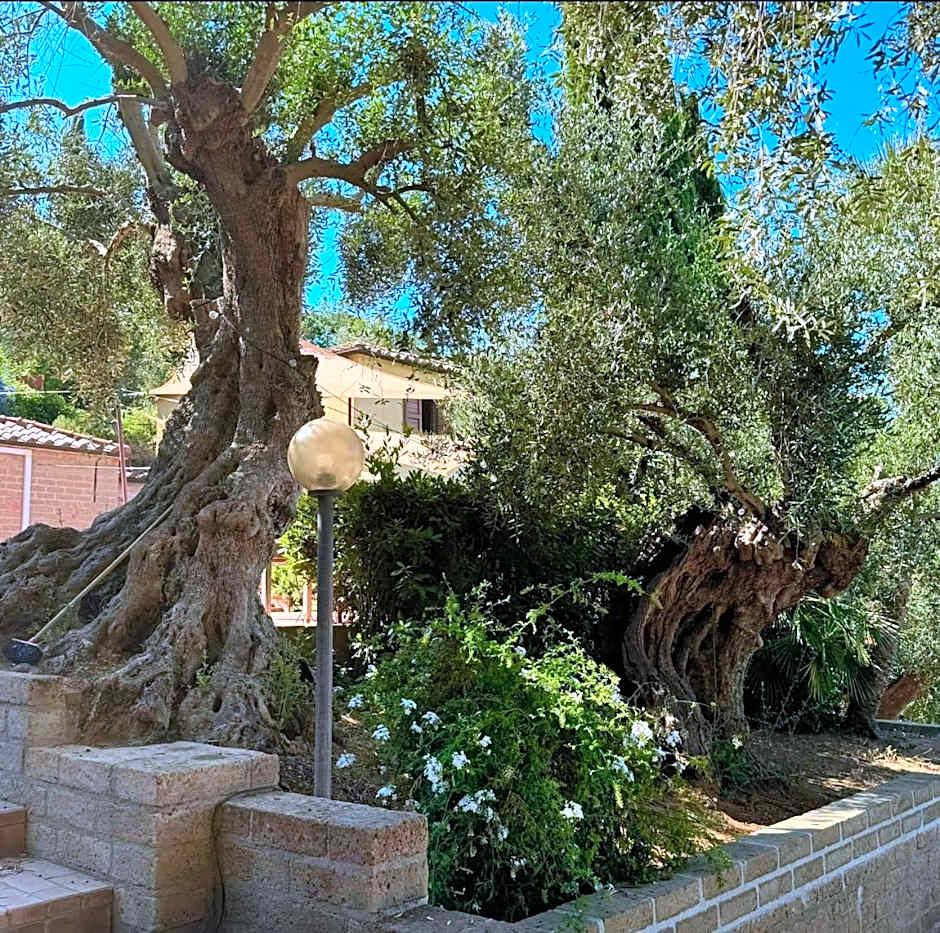 Madonna Del Poggio CAV - Apartments