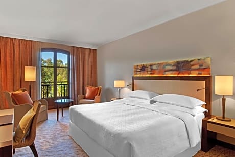 Superior King Room with Resort View 
