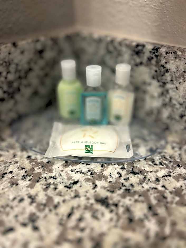 Quality Inn Mt. Pleasant