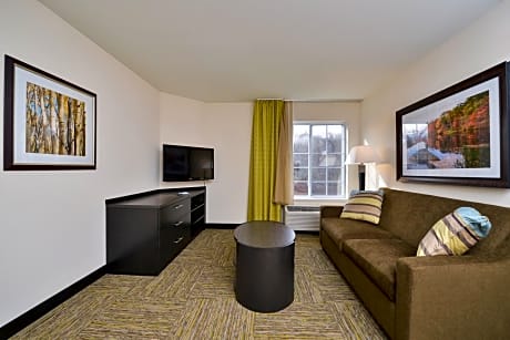 Queen Suite with Roll in Shower- Disability Access/Non-Smoking