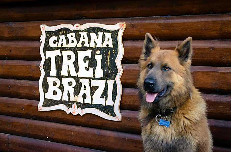 Cabana "Trei Brazi " Retezat