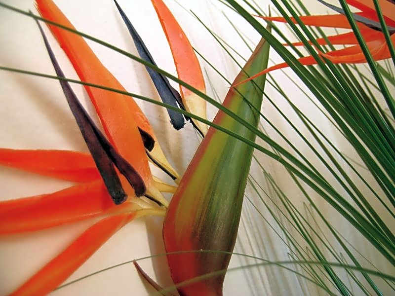 Garni Rosa Delle Alpi