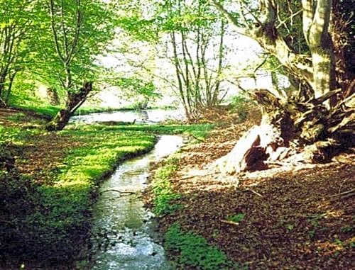 Chambres d'hôtes Le Moulin de Barre