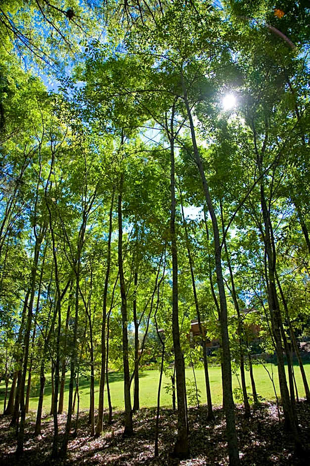 Hotel Rancho San Cayetano