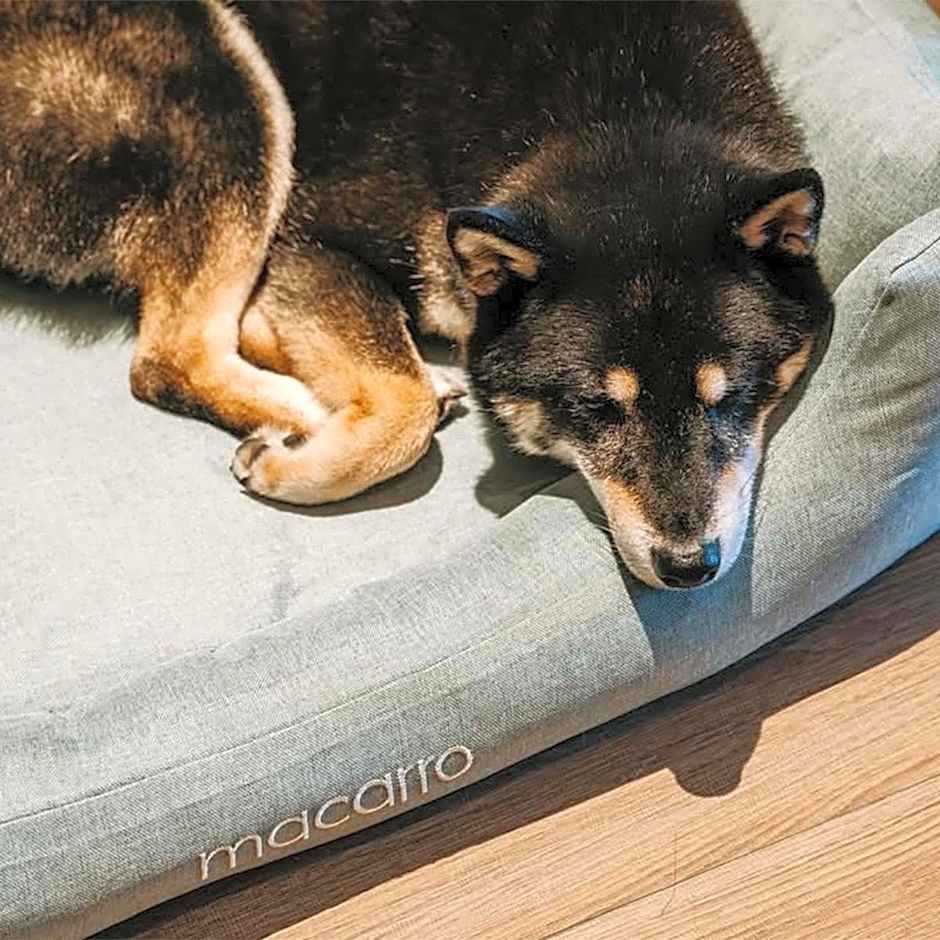 Episode Daan Taipei, JdV by Hyatt Hotel