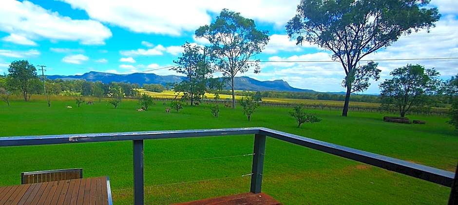 Bimbadgen Estate Vineyard