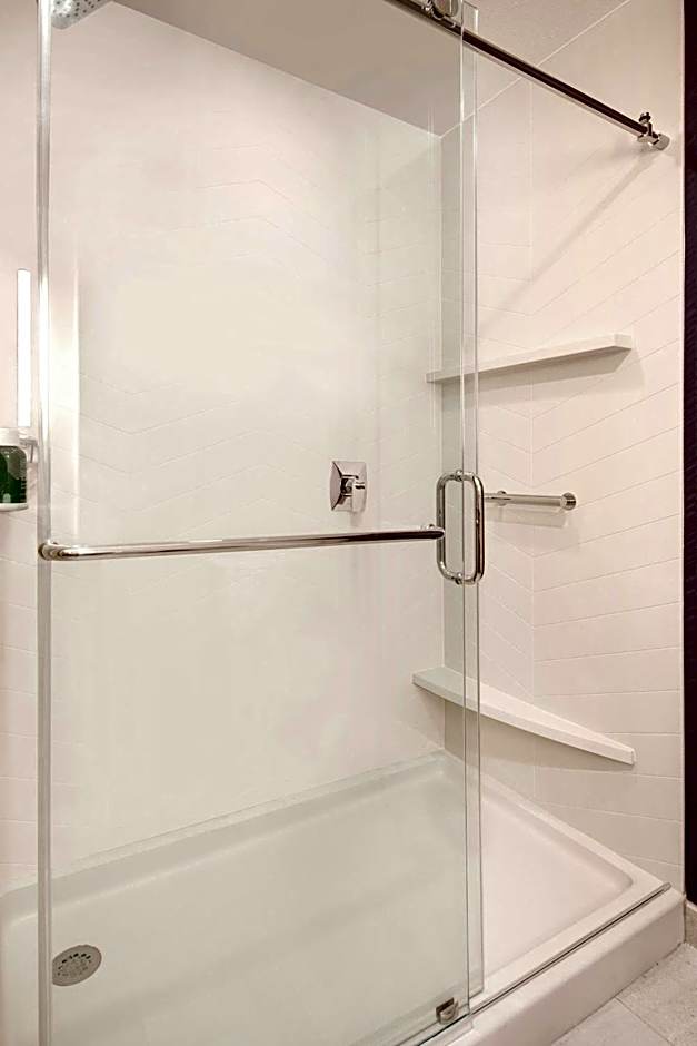 Fairfield Inn & Suites by Marriott Tampa Wesley Chapel