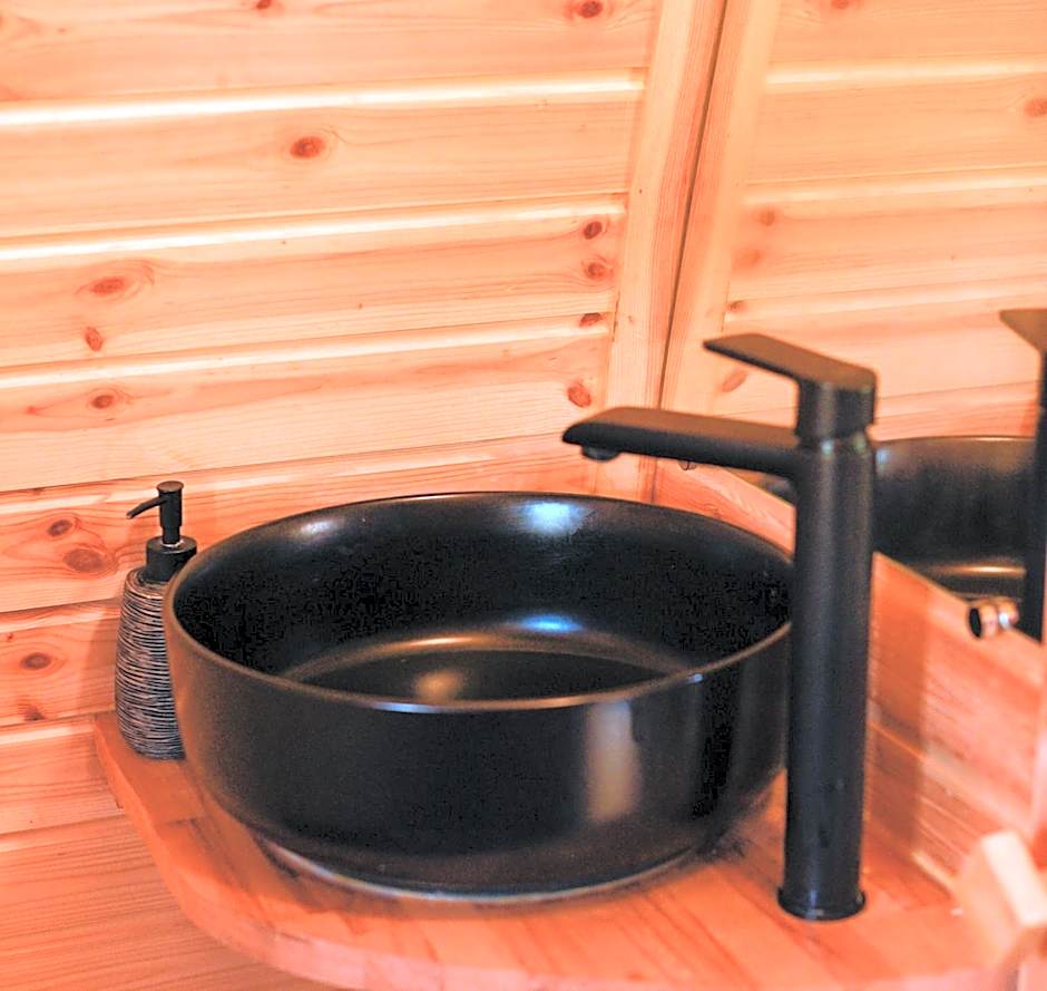 Champagne Philippe Martin