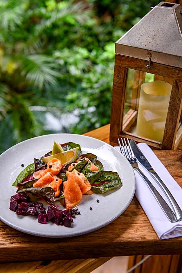 Serenity Mountain and Forest Lodge