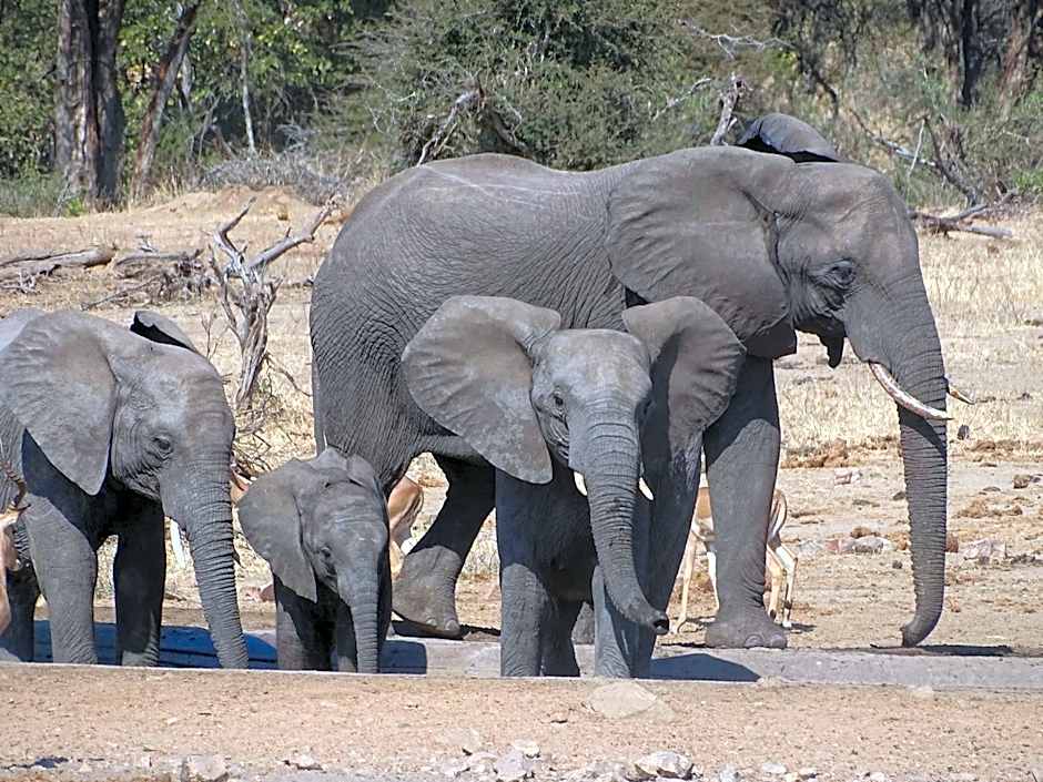 Ku Sungula Safari Lodge