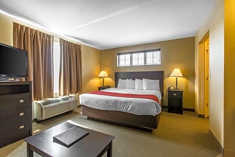 1 King Bed, Efficiency, Suite, Nonsmoking, Upgrade