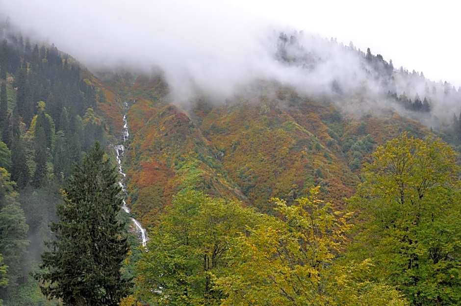 Ayder Hasimoglu Hotel