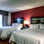 Hampton Inn By Hilton And Suites Detroit/Airport-Romulus