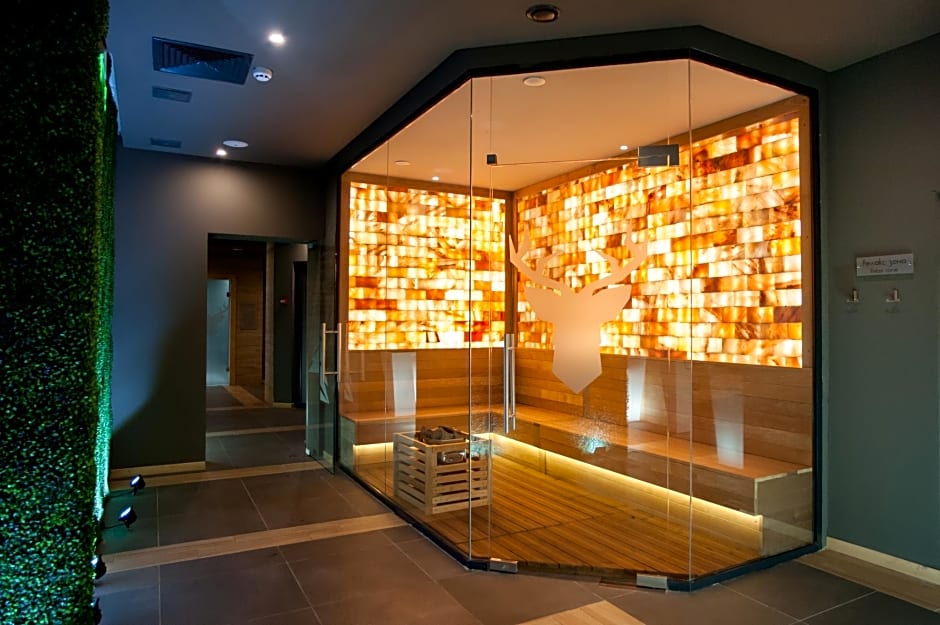 Arte Spa & Park Hotel