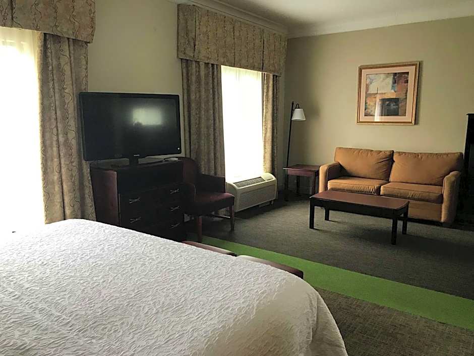 Hampton Inn By Hilton Vidalia, Ga