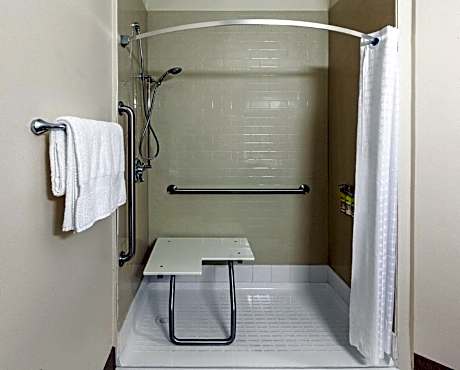 Queen Studio with Roll-In Shower - Non-Smoking