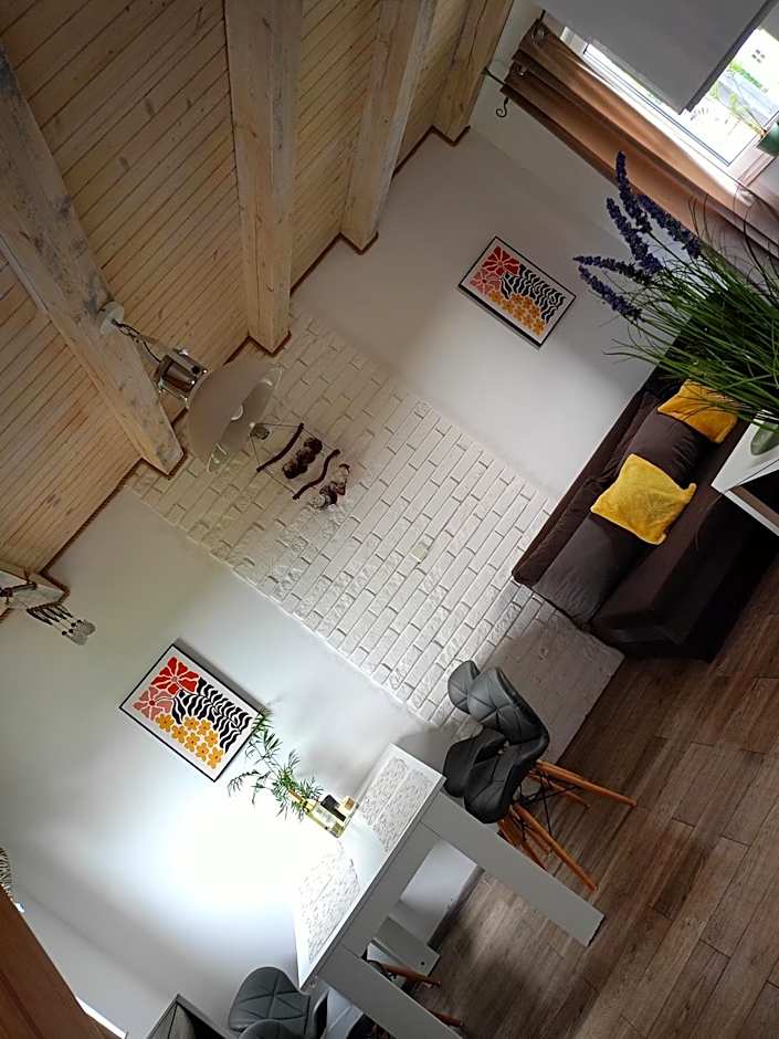 Niezapominajka Kopalino