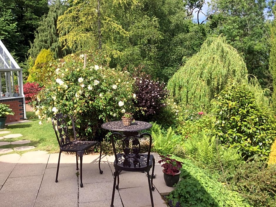 Dwynant - A Room with a View