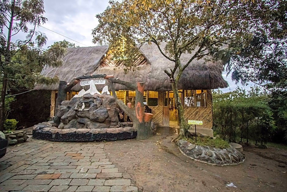 Dove Nest Lodge