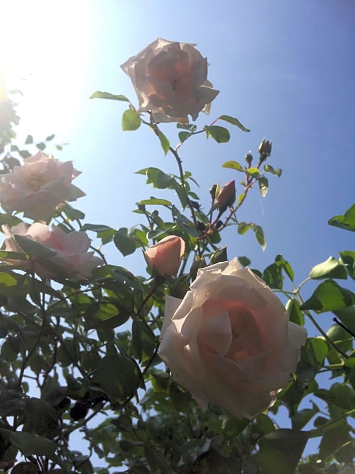 Bed & Breakfast Yerseke