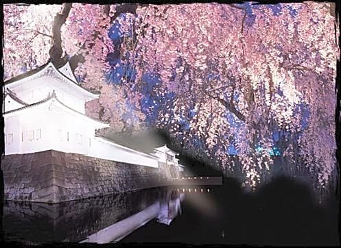 Modern Machiya-Babacho