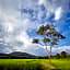 Bambuh Boutique Homestay - Adult Only