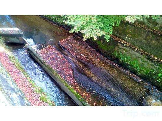 Public Bath Where You Can Stay Takanoyu