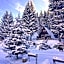 Romantica Forest Guest House