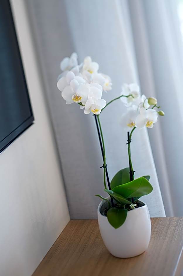 Heart Hotel and Gallery Whitsundays