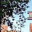 Shlomtzi Hotel