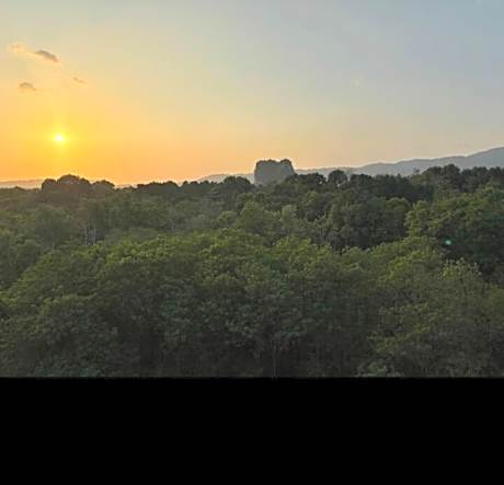 มัณดาวีต์ คอนโดa