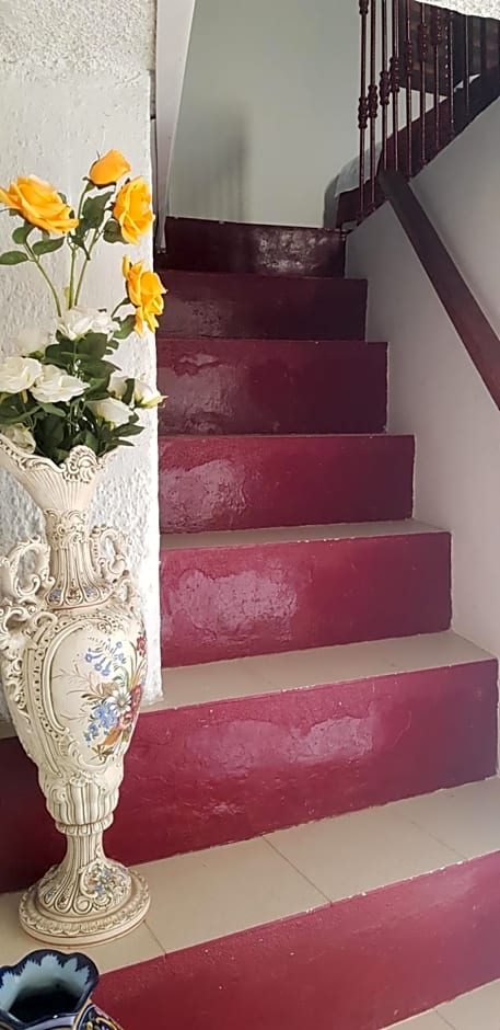 Branca Gonçalves Belmonte