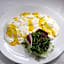 Greif Hotel & Spa