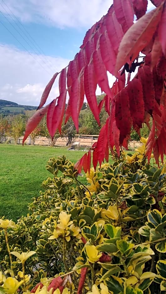 Chambre d'hôtes la Gâtine