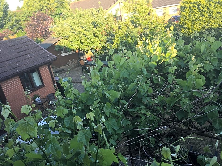 The Cedars House B&B