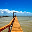 Forever Paradise