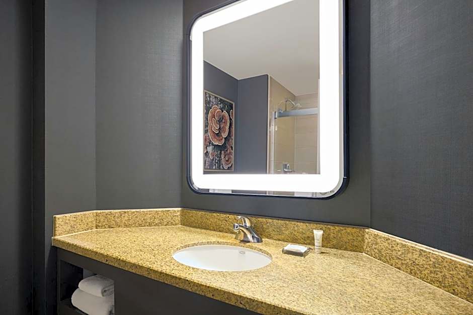 Denver Marriott South At Park Meadows